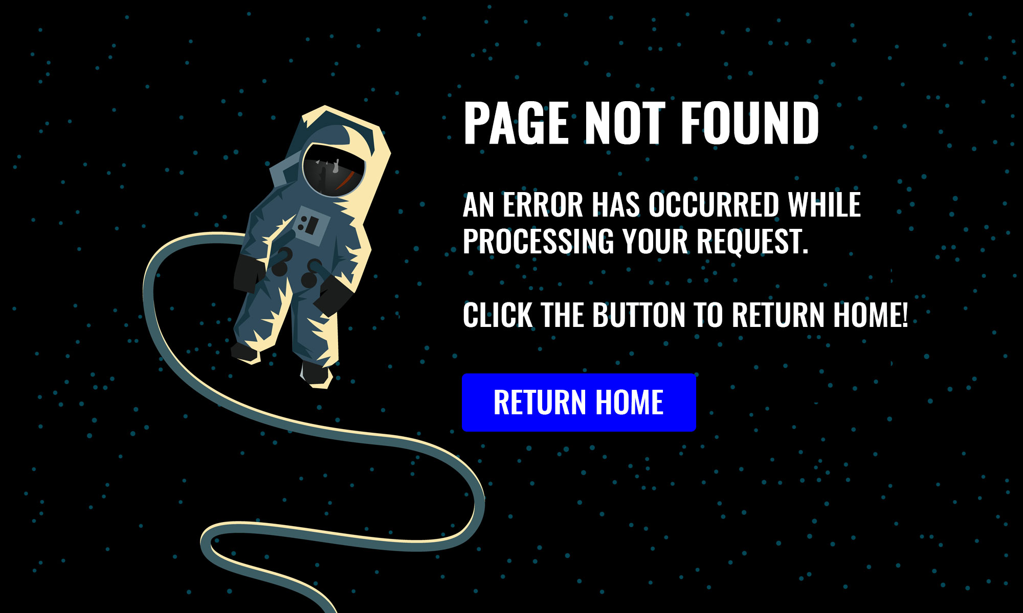 404 Error Page