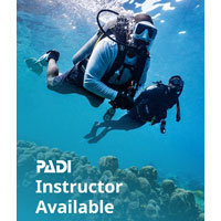 PADI